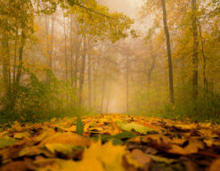 Otoño