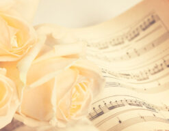 Música y flores