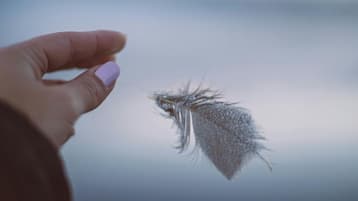 lápidas-de-diseño-pluma