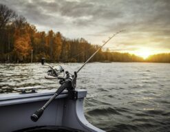 Pesca